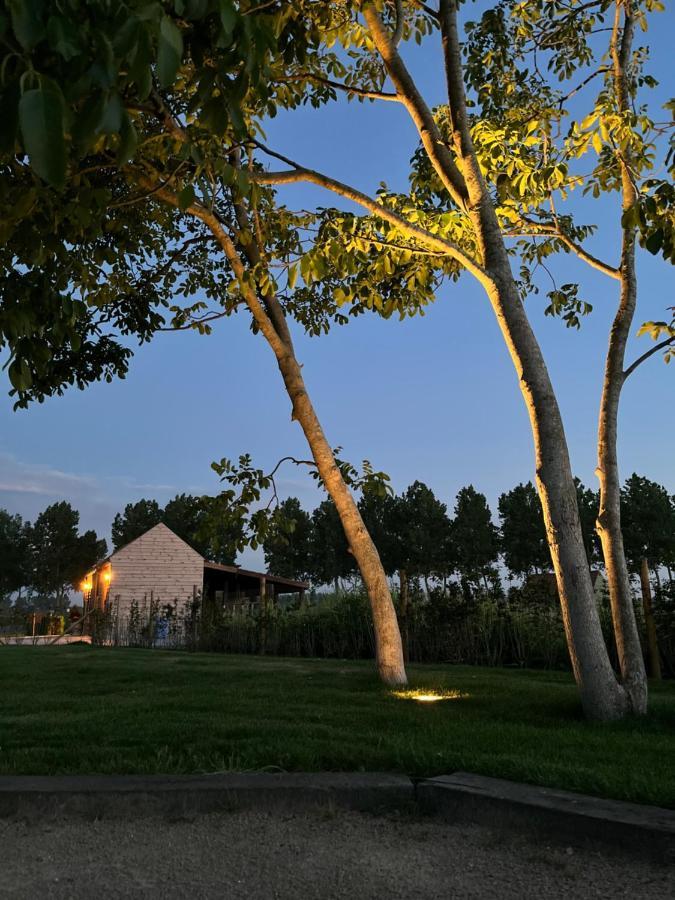 Hove Ter Hille Hotel Jabbeke  Bagian luar foto